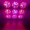 Picture of Đèn Led trồng cây GL-T9, đèn trồng cây, led grow light (Veg, Bloom)