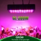 Ảnh của Đèn Led trồng cây đủ phổ GL-300W, Đèn led hỗ trợ trồng cây trong nhà, Led grow light
