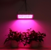 Ảnh của Đèn Led trồng cây đủ phổ GL-300W, Đèn led hỗ trợ trồng cây trong nhà, Led grow light