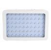 Ảnh của Đèn Led trồng cây đủ phổ GL-300W, Đèn led hỗ trợ trồng cây trong nhà, Led grow light