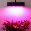 Ảnh của Đèn Led trồng cây đủ phổ GL-300W, Đèn led hỗ trợ trồng cây trong nhà, Led grow light