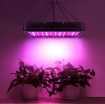 图片 Đèn Led trồng cây đủ phổ GL-1200W, Đèn led hỗ trợ trồng cây trong nhà, Led grow light