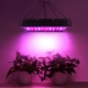 Ảnh của Đèn Led trồng cây đủ phổ GL-1200W, Đèn led hỗ trợ trồng cây trong nhà, Led grow light