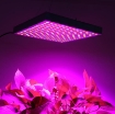 图片 Đèn Led trồng cây đủ phổ GC-45W, Đèn led hỗ trợ trồng cây trong nhà, Led grow light