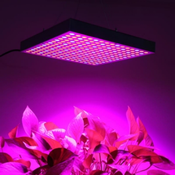 Ảnh của Đèn Led trồng cây đủ phổ GC-45W, Đèn led hỗ trợ trồng cây trong nhà, Led grow light