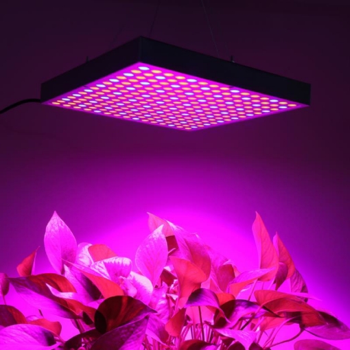 图片 Đèn Led trồng cây đủ phổ GC-45W, Đèn led hỗ trợ trồng cây trong nhà, Led grow light