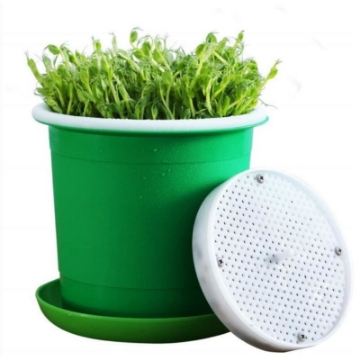 Ảnh của Chậu trồng giá đỗ KOI-15, Khay trồng rau mầm, Máy trồng đậu hà lan đá Maifan