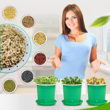 Ảnh của Chậu trồng giá đỗ KOI-21, Khay trồng rau mầm, Máy trồng đậu hà lan đá Maifan