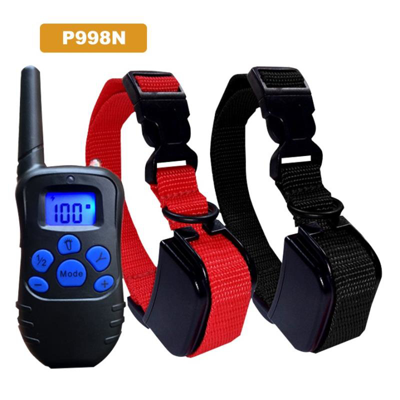 Huấn luyện 2 chó [+200.000đ]