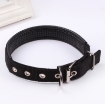 Ảnh của Vòng cổ chó mèo VOC-25, Dài 36-52 cm Rộng 2.5 cm, Dây cổ có chốt khóa