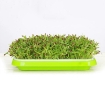 Picture of Bộ kit Khay trồng rau mầm thủy canh chuyên dụng TKM-4.4, Khay, Giá đỡ, Vòi xịt, Hạt giống