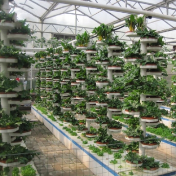 Ảnh của Tầng thủy canh tổ ong TTC-50.7, Thớt trồng thủy canh, tầng trồng thủy canh trụ đứng, Tầng khí canh