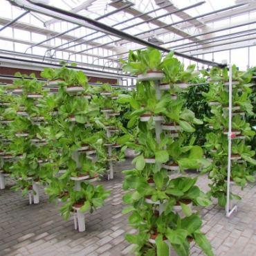 Hình ảnh cho danh mục Thủy canh trụ đứng