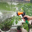 รูปภาพของ Bộ vòi xịt nước tưới cây, Rửa xe BTN-7202, Vòi 8 in  1 kèm bình xà phòng + 15m dây