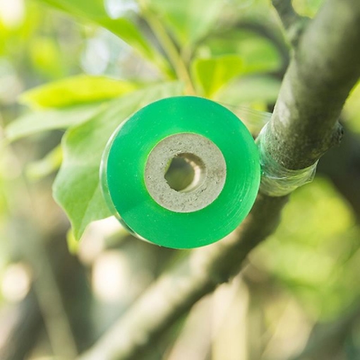 图片 Cuộn băng ghép cành BGC-2, Cuộn phim ghép cây, Băng nilon ghép cành tự dính 2cm