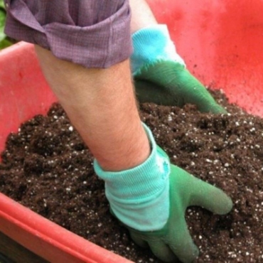 Hình ảnh cho danh mục Đất sạch