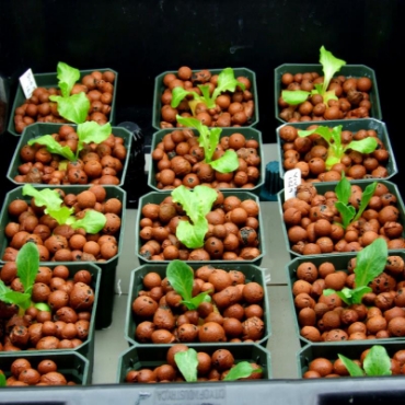 Hình ảnh cho danh mục Sỏi nhẹ, Viên đất nung