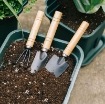 Picture of Bộ dụng cụ làm vườn 3 món cán gỗ TXE-3GO1, Bộ Xẻng 3 món, Xẻng làm vườn cán gỗ
