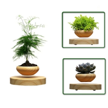 Hình ảnh cho danh mục Air bonsai