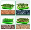 Ảnh của Khay trồng Rau mầm Thủy canh MAM-100, Chậu trồng Rau mầm 2 lớp