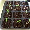 Ảnh của Khay nhựa ươm cây 128 lỗ, Vỉ ươm hạt giống, Khay nhựa ươm hạt rau hoa