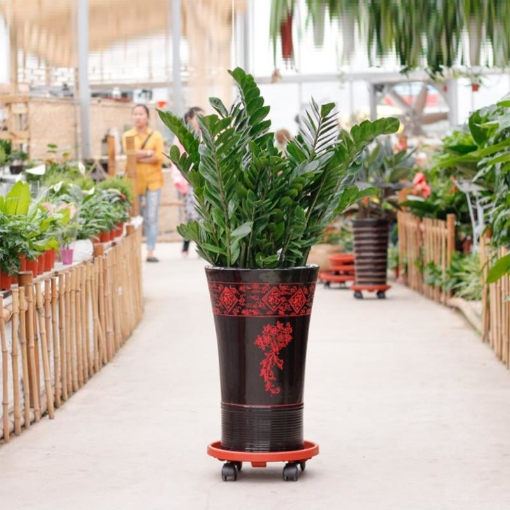 Ảnh của Giá để chậu hoa bằng nhựa TDN-30 cm, Kệ để chậu cây cảnh 4 bánh, Đế chậu cây có bánh xe lăn