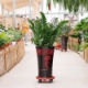Ảnh của Giá để chậu hoa bằng nhựa TDN-30 cm, Kệ để chậu cây cảnh 4 bánh, Đế chậu cây có bánh xe lăn