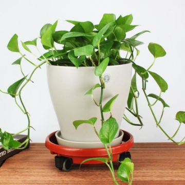 Ảnh của Giá để chậu hoa bằng nhựa TDN-40 cm, Kệ để chậu cây cảnh 4 bánh, Đế chậu cây có bánh xe lăn