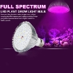 Ảnh của Đèn trồng cây, Đèn led trồng rau trong nhà, Led grow lights 80W-E27, Đèn quang hợp, Đèn tăng trưởng thực vật