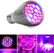 Ảnh của Đèn trồng cây, Đèn led trồng rau trong nhà, Led grow lights (30W, E27)
