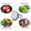 Ảnh của Đèn trồng cây, Đèn led trồng rau trong nhà, Led grow lights (30W, E27)