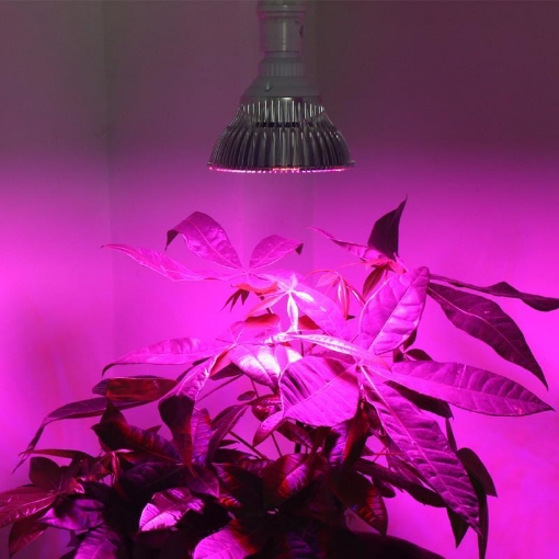 Ảnh của Đèn trồng cây, Đèn led trồng rau trong nhà, Led grow lights 50W-E27, Đèn quang hợp, Đèn tăng trưởng thực vật