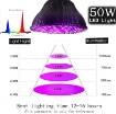 Ảnh của Đèn trồng cây, Đèn led trồng rau trong nhà, Led grow lights 50W-E27, Đèn quang hợp, Đèn tăng trưởng thực vật