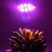 รูปภาพของ Đèn trồng cây, Đèn led trồng rau trong nhà, Led grow lights E27 10W