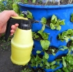 รูปภาพของ Bình xịt tưới cây 2 lit DUDACO, Bình tưới phun sương, phun mưa, Phun thuốc muỗi mối