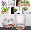 图片 Chậu 2 lớp trồng Hoa Cây cảnh để bàn W05, Bể 2 đáy chứa nước nuôi cá, Cốc trồng cây tự hút nước