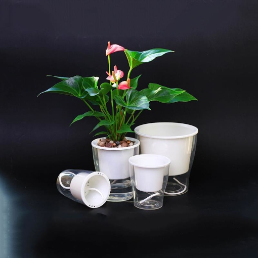 图片 Chậu 2 lớp trồng Hoa Cây cảnh để bàn W03, Bể 2 đáy chứa nước nuôi cá, Cốc trồng cây tự hút nước