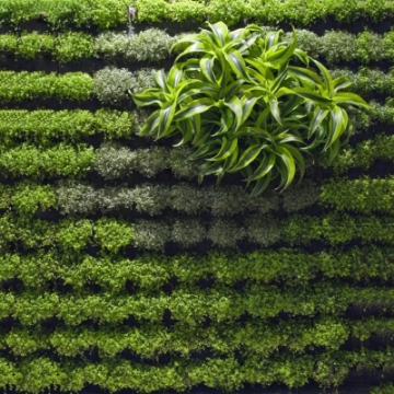 Ảnh của Túi trồng cây treo tường 64 hốc, Túi làm vườn tường trang trí, Túi trồng hoa, rau, cây cảnh