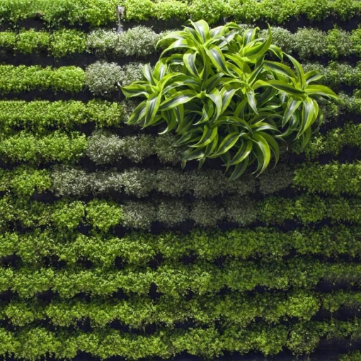 รูปภาพของ Túi trồng cây treo tường 64 hốc, Túi làm vườn tường trang trí, Túi trồng hoa, rau, cây cảnh