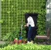 รูปภาพของ Túi trồng cây treo tường 64 hốc, Túi làm vườn tường trang trí, Túi trồng hoa, rau, cây cảnh