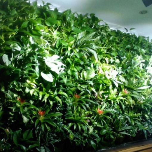 Picture of Túi trồng cây treo tường 25 hốc, Túi làm vườn tường trang trí, Túi trồng hoa, rau, cây cảnh