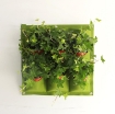 Gambar Túi trồng cây treo tường 9 hốc, Túi làm vườn tường trang trí, Túi trồng hoa, rau, cây cảnh