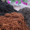 图片 Mùn xơ dừa trồng rau (kg), Mùn dừa trồng cây, Cám mụn sơ dừa ươm hạt giống