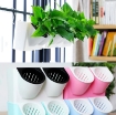 Ảnh của Thủy canh vườn tường đứng BG-2, Rọ đôi treo tường trồng cây cảnh, Chậu trồng cây treo tường