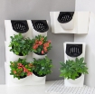 Ảnh của Thủy canh vườn tường đứng BG-2, Rọ đôi treo tường trồng cây cảnh, Chậu trồng cây treo tường