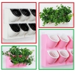 Ảnh của Thủy canh vườn tường đứng BG-2, Rọ đôi treo tường trồng cây cảnh, Chậu trồng cây treo tường