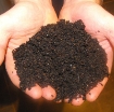 Gambar Phân Trùn Quế OSG, Phân vi sinh hữu cơ, Phân giun quế trồng rau