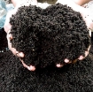Gambar Phân Trùn Quế OSG, Phân vi sinh hữu cơ, Phân giun quế trồng rau
