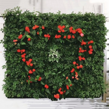 Hình ảnh cho danh mục Túi trồng cây treo tường