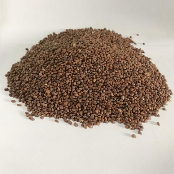 Ảnh của Hạt giống rau mầm Củ Cải Trắng Gói 200g, Hạt giống New Zealand, Đà Lạt